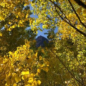 Meet your Posher, Joe